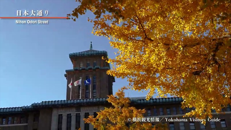 Nihon-odori(Autumn)